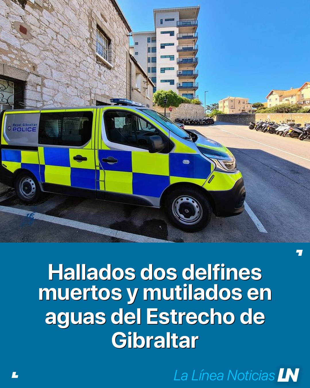 Hallados dos delfines muertos y mutilados en aguas del Estrecho de Gibraltar